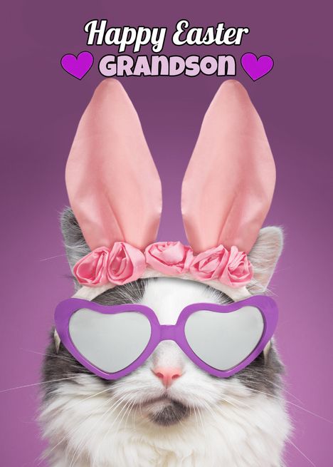 Happy Easter Grandson Cat in Bunny Ears Humor card Easter Cats, Cat Happy, Happy Easter Wishes, Good Morning Friends Quotes, Step Daughter, Easter Wishes, Good Morning Friends, Daughter In Law, Bunny Ears