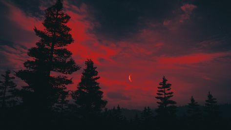 forest, landscape, night, crescent moon, Moon | 2560x1440 Landscape Night, 2560x1440 Wallpaper, Aesthetic Forest, Laptop Wallpaper Desktop Wallpapers, Desktop Wallpaper Design, Computer Backgrounds, High Resolution Wallpapers, Red Moon, Forest Wallpaper