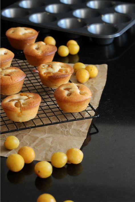 Yellow Plums Muffins – Casserole & Chocolat  #casseroleetchocolat #patisserie #cupcake #chocolate #chocolat #cupcakes   #muffin #muffins #mirabelle #mirabelles #plums #pastry #patisserie   #plum #americanfood #feedfeed #gloobyfood #food52 #foudepatisserie   #imsomartha #faitmaison #gouter #gourmandise #teatime Plums Recipes Dessert, Plum Muffins, Plum Dessert, Mascarpone Recipes, Plum Tart, Cupcake Chocolate, Plum Recipes, Yellow Plums, Mango Cake