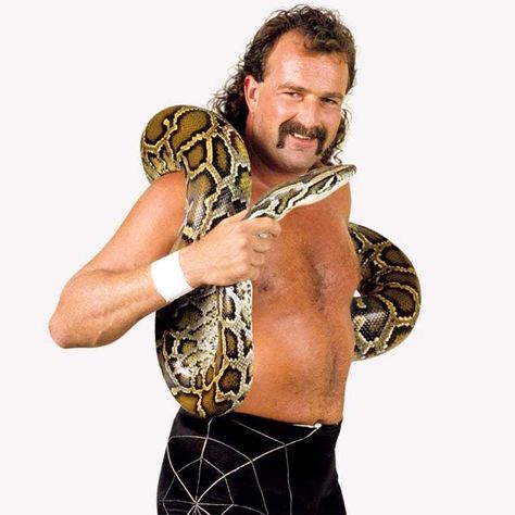 Jake the Snake Best Mustaches, Jake The Snake, Jake The Snake Roberts, Cool Mustaches, Everything But The Kitchen Sink, Andre The Giant, Cody Rhodes, Wwe Legends, Vince Mcmahon