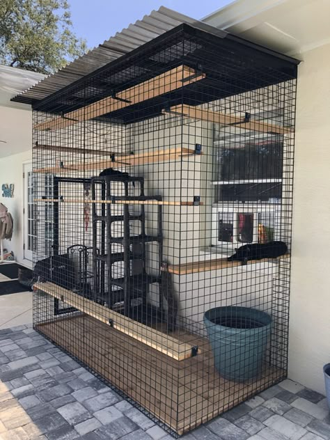 My Catio and Cat-Friendly Backyard - CatVetLife Catio Plans From Window, Catio Plans Design, Simple Catio Plans, Catio Ideas Cat Diy, Deck Diy Ideas, Patio For Cats, Catios Diy, Cat Tunnel Outdoor, Cat Enclosure Ideas