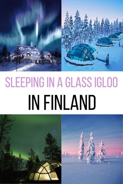 Glass Igloo Hotel, Igloo Hotel, Glass Igloo, Europe Trips, Finland Travel, Travel Women, Lapland Finland, See The Northern Lights, Blue Elephant