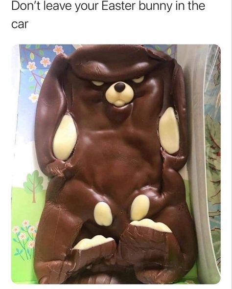 Funny Food Jokes, Food Jokes, Chocolate Easter Bunny, Food Memes, Weird Food, Morning Humor, Funny Animal Memes, Funny Pins, Animal Memes