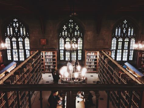 The Elementalists, Toronto Library, Gotham Academy, Boarding School Aesthetic, Ninth House, Dark Academy, Hogwarts Aesthetic, College Aesthetic, Dead Poets Society