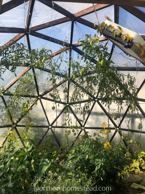 Yes or No to Ventilation in a Geodesic Dome Greenhouse - Northern Homestead Geodesic Greenhouse, Greenhouse Dome, Grow Dome Green Houses, Geodome Greenhouse, Octagonal Greenhouse, Roof Dome, Geometric Dome Greenhouse, Geodesic Dome Greenhouse, Geodesic Dome Connector