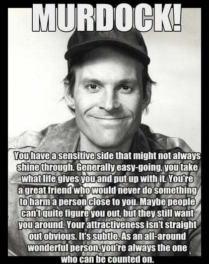 Hm Murdock, Dwight Schultz, Forged In Fire, 80 Tv Shows, The Loud House, Positive Inspiration, Old Shows, Great Tv Shows, Old Tv Shows