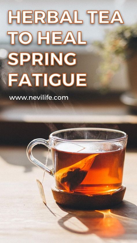 Especially spring fatigue is like chronic fatigue for most of us. If you wonder about how to relieve spring fatigue, these herbal teas help to relaxing, calming and boost body energy. Here is many herbal tea types for self. Tea Types, Herbal Tea Benefits, Herbal Teas Recipes, Tea Benefits, Body Energy, Herbal Teas, Tea Recipe, Types Of Tea, Chronic Fatigue