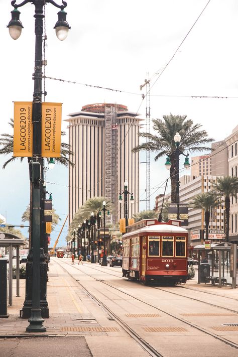 New Orleans Wallpaper Iphone, New Orleans Wallpaper, New Orleans Astethic, New Orleans Canal Street, New Orleans Downtown French Quarter, New Orleans Transportation, Nouvelle Orleans, Hotel Monteleone, New Orleans Street Car