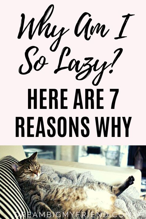 Why Am I So Lazy? 7 Reasons Why and What You Can Do About It | Productivity Tips | Stop Laziness | How to stop being lazy tips | How to stop being lazy motivation | How to stop being lazy idea | how to stop being lazy time management | how to stop being lazy at home | how to stop being lazy mom | Productive things to do at home | Productive things to do when bored | productive things to do ideas | Productive things to do successful people | Productive things to do on your day off | Laziness | Lazy Motivation, Stop Laziness, To Do Ideas, How To Overcome Laziness, Stop Being Lazy, Raising Godly Children, Feeling Lazy, How To Stop Procrastinating, Productivity Tips