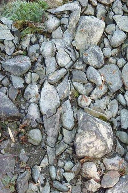 Hidden Woman in the Rocks Optical Illusion - http://www.moillusions.com/hidden-woman-rocks-optical-illusion/ Illusion Kunst, Optical Illusions Pictures, Illusion Pictures, Art Pierre, 웃긴 사진, Illusion Art, Wow Art, Foto Art, Land Art