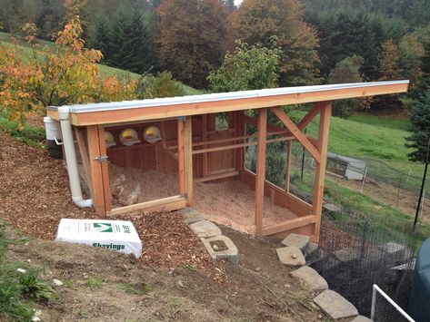 Chicken Coop On Hillside, City Chickens, Hillside Farming, Hillside Farms, Best Egg Laying Chickens, Egg Laying Chickens, Chicken Coup, Homesteading Ideas, Sloped Yard