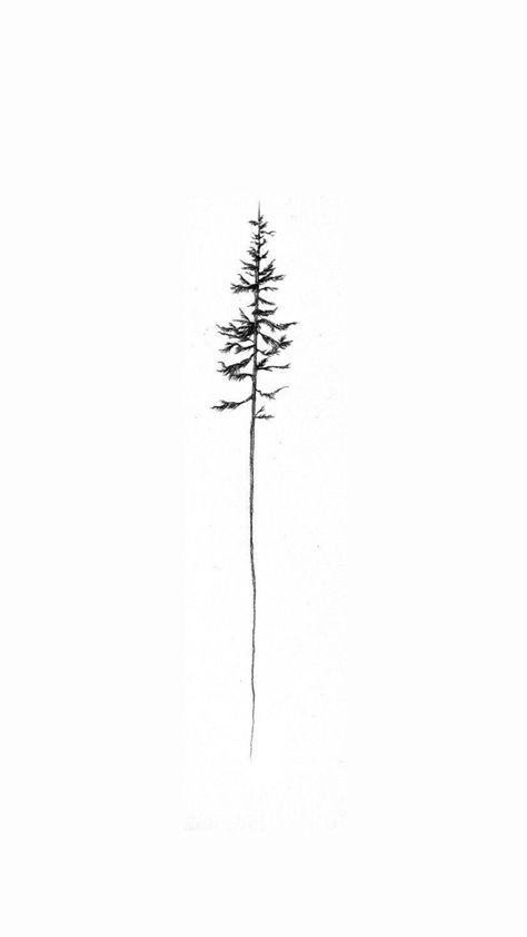 Minimalist Evergreen Tattoo, Vertical Tricep Tattoo, Redwood Tree Tattoo Simple, Minimalist Redwood Tree Tattoo, Botanical Drawing Tattoo, Nature Tatoos Woman, Tree Sapling Tattoo, Tree Tattoo On Spine, Sequoia Tree Tattoo Simple