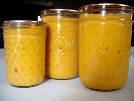 Hot Pepper Mustard Russian Sauerkraut, Hot Pepper Mustard Recipe, Pepper Mustard Recipe, Avocado Pickles, Canning Hot Peppers, Hot Pepper Relish, Hot Banana, Pickled Shrimp, Canning Peppers