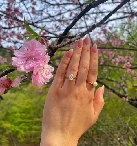 Proposal in Japan 🇯🇵🎏🌸🍣💕💍 Proposal Ideas Japan, Japan Proposal, Tokyo Proposal, Trail Proposal, Pretty Place Chapel Proposal, Marriage Proposal In Paris, Marriage Proposals, Cherry Blossom, Blossom