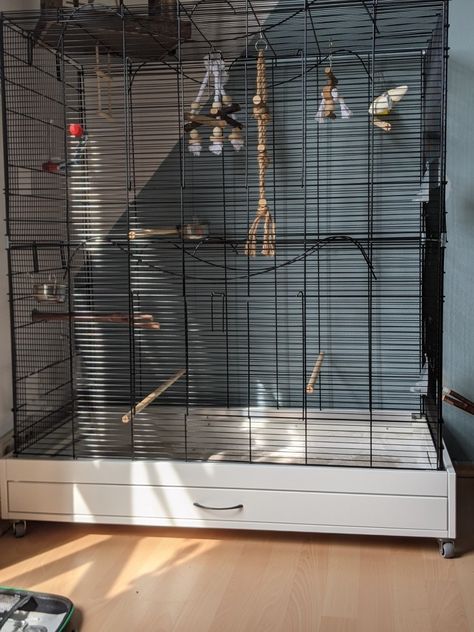 Pet Enrichment, Bird Room, Birds Cage, Flight Cage, Chinchilla Cage, Pet Bird Cage, Bird Free, Bird Aviary, Parrot Cage