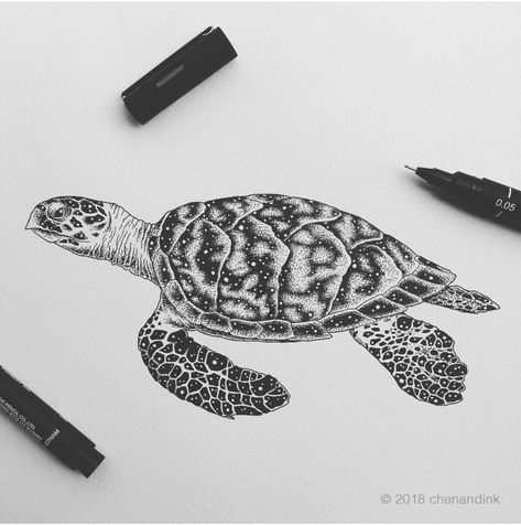 Hawksbill Sea Turtle, Sea Turtle Drawing, Hawksbill Turtle, Sea Turtle Tattoo, Ink Pen Art, Turtle Drawing, Themed Rooms, Turtle Tattoo, Ink Illustration