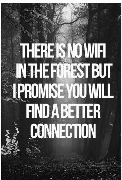 Getting to turn off your phone, not even by choice. | 17 Reasons Why Camping Is The Best Citation Nature, Frases Tumblr, I Promise You, Nature Quotes, Life Coaching, Quotable Quotes, In The Forest, True Words, Travel Quotes