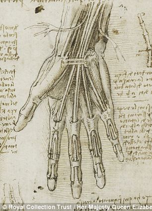 Leonardo da Vinci's depiction of the bones, muscles and tendons of the hand, c.1510-11 http://www.dailymail.co.uk/sciencetech/article-2292206/The-startling-accuracy-Leonardo-da-Vincis-anatomical-sketches-revealed-comparison-modern-medical-scans.html Leonardo Da Vinci Dibujos, Grant Wood, Berthe Morisot, Human Anatomy Art, Anatomy Sketches, Scientific Illustration, Anatomy Drawing, A Level Art, Anatomy Reference