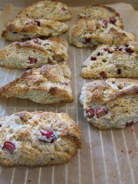 Rhubarb Buttermilk, Sour Cream Scones, Rhubarb Scones, Best Rhubarb Recipes, Basic Scones, Buttermilk Scones, Scone Mix, Scones Recipe Easy, Cream Scones