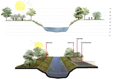 River Section Architecture, Landscape Architecture Diagram, Section Design, Ecology Design, Landscape Architecture Drawing, Urban Landscape Design, Architecture Presentation Board, Archi Design, Portfolio Design Layout