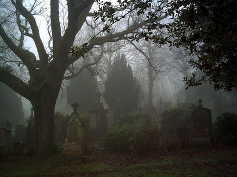 https://www.flickr.com/photos/by-mark/114663713/in/set-72057594085516261/ Old Cemeteries, Dark Paradise, Over The Garden Wall, Gothic Aesthetic, The Fog, Six Feet Under, After Dark, Graveyard, Garden Wall