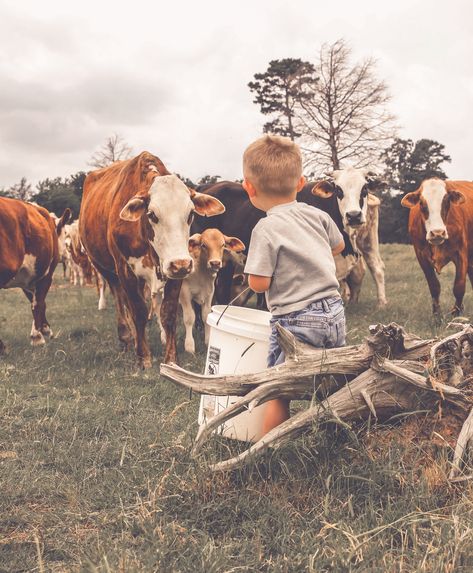 by: Kelley Mae Photography  Find me on Facebook & Instagram  #ranchlife #cows #littleboysandcows Country Ranch, Farm Kids, Future Farms, Farm Lifestyle, Western Life, Dream Family, Country Kids, Country Lifestyle, Ranch Life