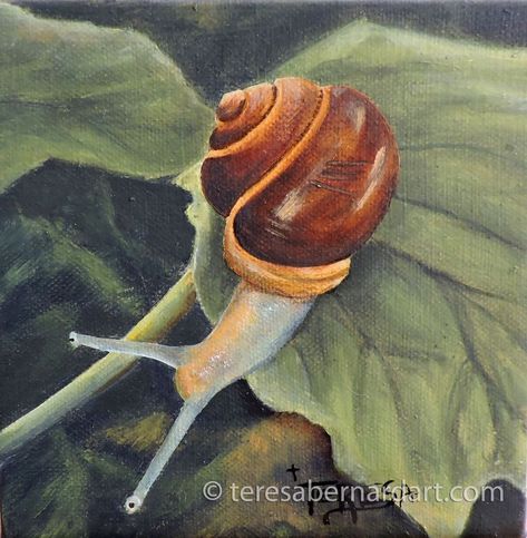 wildlife painting, snail painting, small painting, nature painting, Teresa Bernard Snail Image, Land Snail, Snail Art, Playing Cards Art, Flower Drawing Tutorials, Pastel Artwork, Fairy Artwork, Oil Pastel Art, Nature Painting