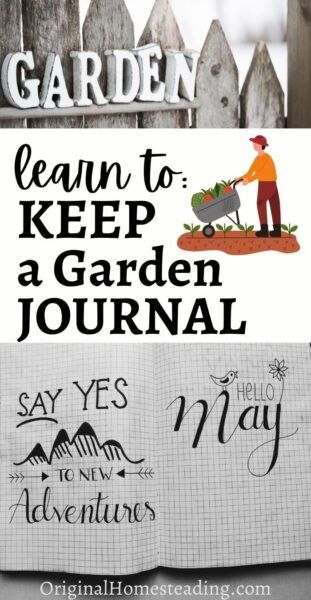 Keep a Garden Journal ~ How & Why to Start Garden Diary Journals, Diy Garden Journal, Garden Journal Ideas, Garden Bullet Journal, Gardening Journal Printables, Garden Journal Template, Bullet Journal Sections, Garden Journals, Garden Notebook