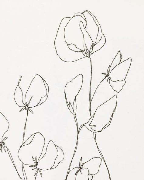 black and white floral sketch. pattern inspiration. Illustration Botanique, Contour Drawing, Flower Gardens, Abstract Illustration, Floral Illustration, Art Et Illustration, Flower Tattoo Designs, Art And Illustration, Flower Illustration