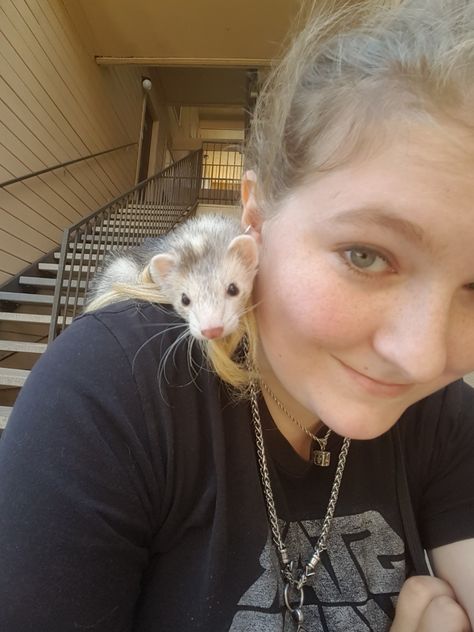 little Taiga hanging out on my shoulder Ferret On Shoulder, Baby Ferrets, Long Beans, Dream Pet, Pet Ferret, Cute Ferrets, Wet Dog, Animal Friends, Beautiful Animals