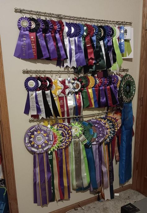 Dog Show Rosettes, Dog Show Ribbon Display Ideas, Dog Show Ribbons, Horse Show Ribbon Display Ideas, Show Ribbon Display Ideas, Ribbon Display Ideas, Horse Show Ribbon Display, Rosette Display, Show Ribbon Display