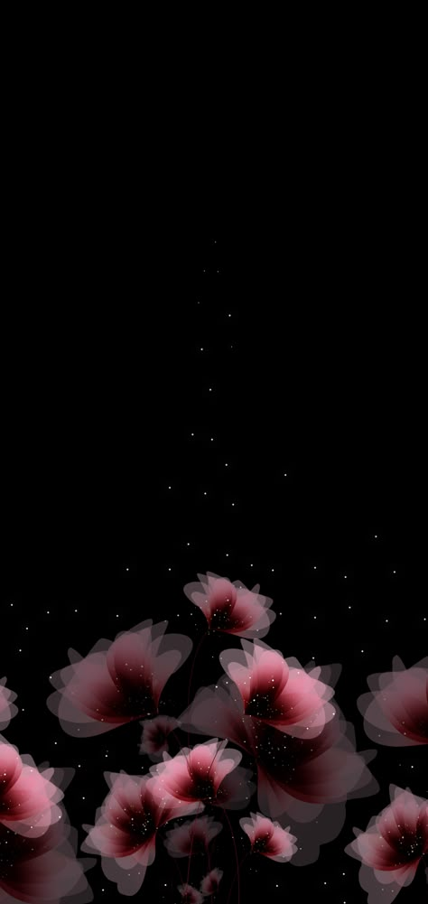 Black Flowers Wallpaper, Flowers Wallpaper, Black Flowers, Pretty Wallpapers Backgrounds, Dark Wallpaper, Wallpapers Backgrounds, Iphone Wallpapers, Pretty Wallpapers, Ideas De Fondos De Pantalla