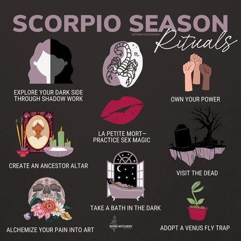 Scorpio Season Rituals, Scorpio Season Aesthetic, New Moon Scorpio, Scorpio Magic, Scorpio Witch, Scorpio Pluto, Aesthetic Scorpio, Zodiac Mind Scorpio, Scorpio Fashion