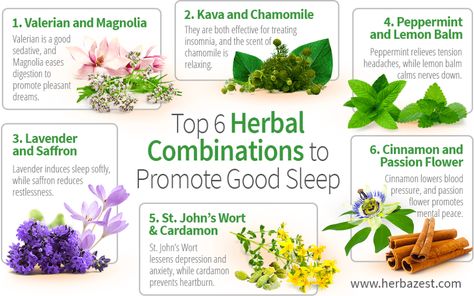 Top 6 Herbal Combinations to Promote Good Sleep | HerbaZest What Causes Shingles, Shingles Relief, Herbs For Sleep, Insomnia Relief, Medicinal Tea, Sleep Tea, How To Calm Nerves, Sleep Remedies, Natural Sleep Remedies