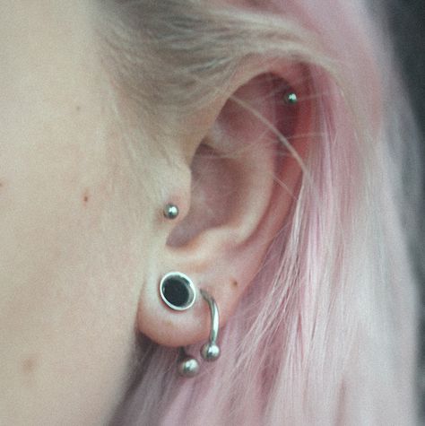 my left ear for today. 6mm tunnel, tragus, lobe, helix Double Lobe Piercing, Tunnel Piercing, Stretched Lobes, Ear Tunnels, Lobe Piercing, Stretched Ears, Tragus Piercings, Jewelry Inspo, Tragus