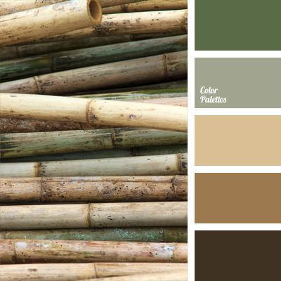 beige and brown, brown and green, cold shades of brown, color of bamboo, colors for eco-design, dark brown, gray-blue, gray-green Brown Color Palette, Living Room Color Schemes, Trendy Living Rooms, Room Color Schemes, Brown Living Room, Neutral Color Scheme, Living Room Green, Color Balance, Bathroom Colors