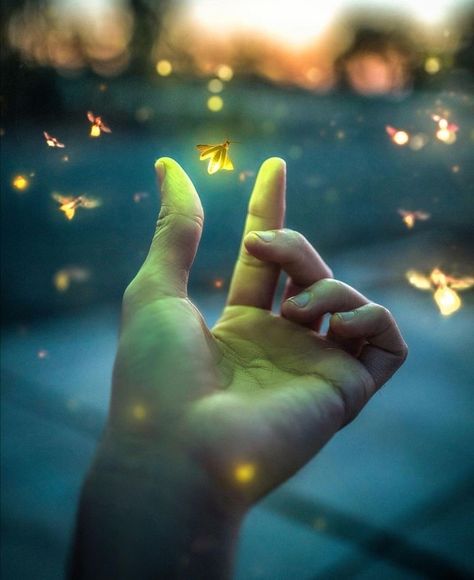 Firefly Photography, Firefly Art, Speculative Design, My Fantasy World, Magic Aesthetic, Photoshop Art, Aesthetic Photography Nature, Love Wallpaper, Photo Backgrounds