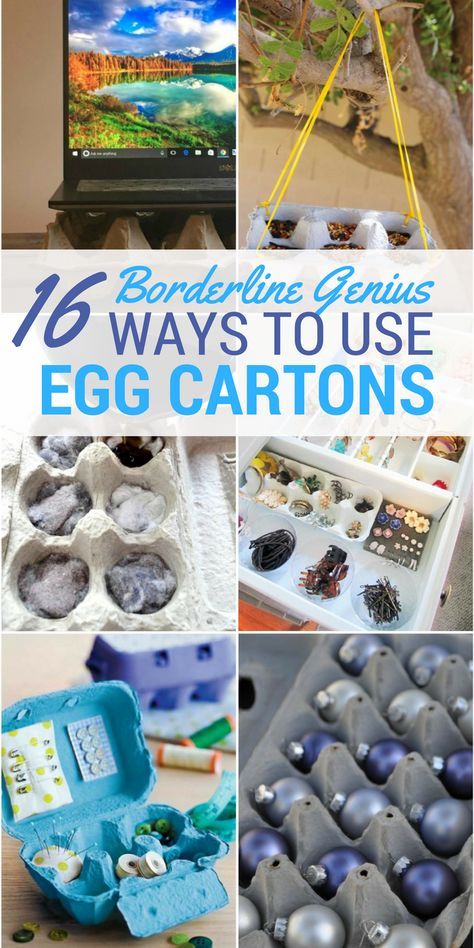 Egg Carton Uses Ideas, Repurposed Egg Cartons, Egg Carton Recycle Ideas, Egg Carton Upcycle, Recycling Egg Cartons, Upcycle Egg Cartons, Egg Carton Storage Ideas, What To Do With Egg Cartons, Egg Carton Uses