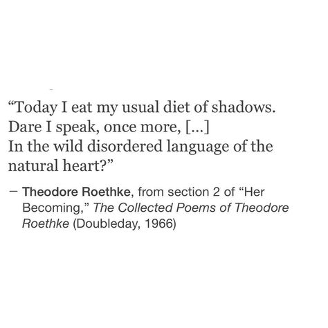 Theodore Roethke, Collection Of Poems, Literature Quotes, Wild Woman, The Little Prince, I Am Scared, Pretty Words, Food For Thought, The Well