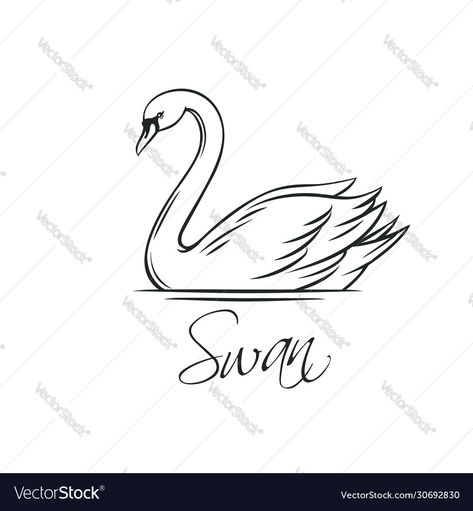 Swan Outline Tattoo, Swan Outline, Swan Drawing, Swan Tattoo, Swan Art, Swan Painting, Phrase Tattoos, Small Rose Tattoo, Swans Art