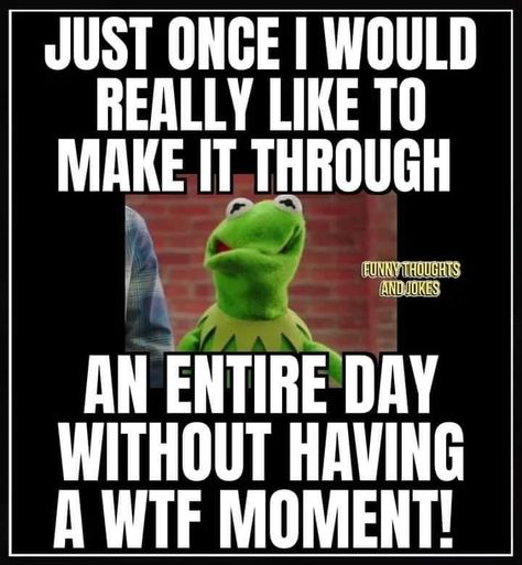 Funny Kermit, Funny Kermit Memes, Kermit Memes, Morning Ideas, Minion Memes, Big Toys, Kermit Funny, Funny Minion Memes, Funny Day Quotes