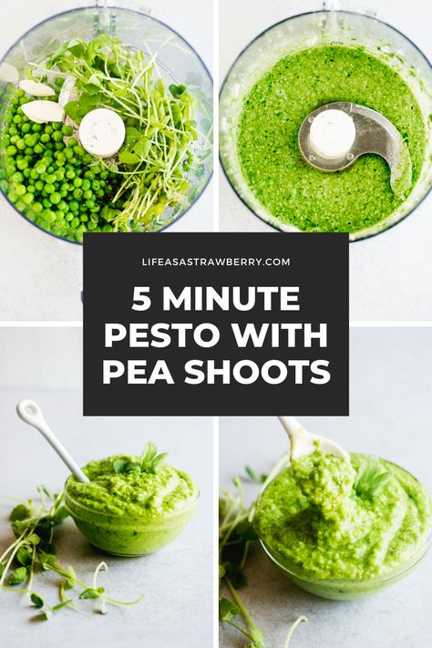 5 Minute Pea Pesto - This easy pesto recipe uses fresh peas and pea shoots for a springtime twist! Make this pesto sauce ahead of time and store in the fridge or freezer to use with pasta, pizza, crostini, salmon, or salads all week long. It’s perfect for meal prep and naturally vegan and nut free. Ready in just five minutes in your food processor! Pea Microgreens Recipes, Pea Sauce Pasta, Microgreens Recipe Ideas, Micro Greens Recipe, Pizza Crostini, Pea Shoots Recipe, Green Pea Pesto, Easy Pesto Recipe, Microgreen Recipes