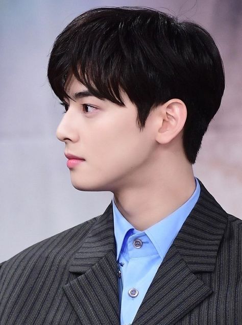 Castlevania Dracula, Korean Haircut, Korean Pop Idol, Cha Eun Woo Astro, Eun Woo Astro, Astro Kpop, Face Pictures, Cute Asian Guys, Side Profile