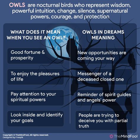 Bump into owls every now and then? If you answered yes to one or all of these questions, you must be wondering about owl symbolism and are not sure about what do owls mean? Owls symbolize powerful intuition, the capacity to perceive beyond what most can, wisdom, change, silence, quick wit, independent thinking, intelligence, supernatural powers, courage, and protection. #OwlSymbolism Owl Spiritual Meaning, Owl Meaning, Spirit Animal Owl, Owl Symbolism, Owl Quotes, Spirit Animal Meaning, Animal Meanings, Supernatural Powers, Spiritual Animal