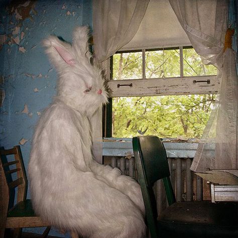 Creepy Easter Bunnies From Hell Evil Bunny, Creepy Cute Aesthetic, Easter Bunny Pictures, After Earth, Easter Photography, Creepy Vintage, Hospital Photos, Creepy Pictures, Creepy Clown