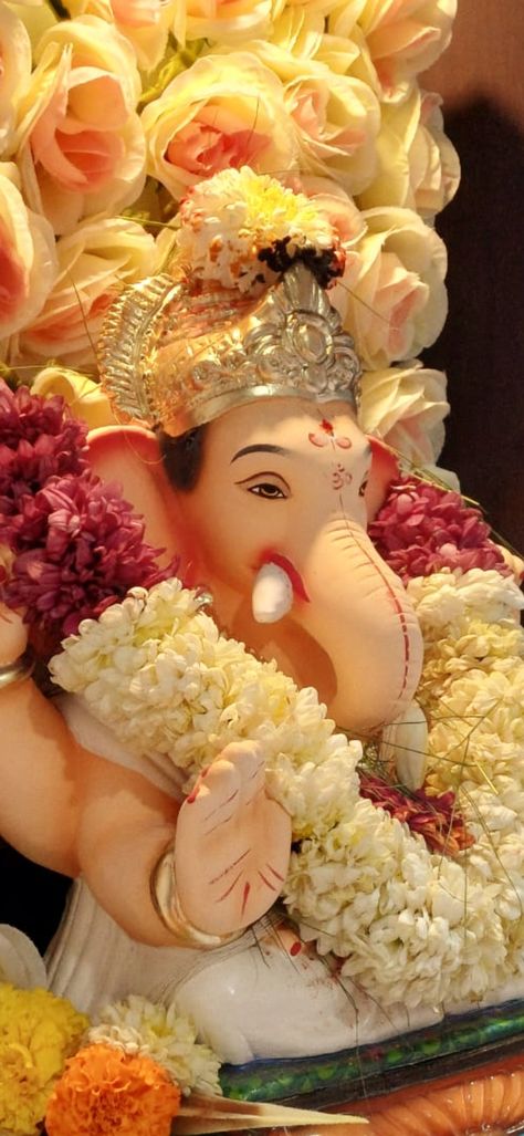 Ganpati decoration at home ideas, ganesha, shri ganesh chaturthi wishes Ganesh Chaturthi Wishes, Ganesh Chaturthi Decoration, Ganpati Decoration At Home, Shri Ganesh, Ganesh Images, Ganpati Decoration, Ganesh Chaturthi, Ganesha, Home Ideas