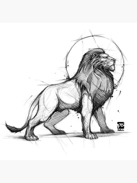 "proud lion sketch" Canvas Print by psdelux | Redbubble Lion Sketch, Lion Drawing, Animal Drawings Sketches, Lion Art, Art Drawings Sketches Creative, Lion Tattoo, Animal Sketches, A Lion, Animal Tattoos