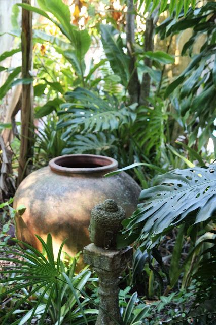 Tropical Garden Design Landscaping, Tropical Garden Plants, Farm Landscaping, Lime In The Coconut, Jungle Gardens, Zen Garden Design, Tropical Garden Design, Rabbit Garden, Tropical Backyard