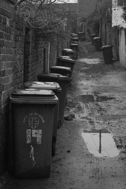 bins | Tom | Flickr Trash Background, Trash Bins, Background Wallpaper, Aesthetic Pictures, Trash Can, Canning, Photography, Quick Saves