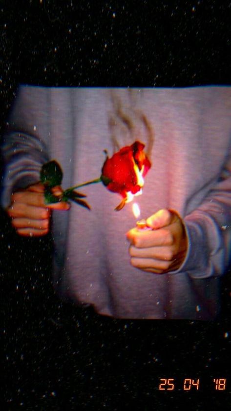 Ge Aldrig Upp, Burning Rose, Wallpaper Disney, Rosé Aesthetic, Wallpaper Tumblr, Mood Wallpaper, Iphone Backgrounds, Flowers Rose, Tumblr Photography